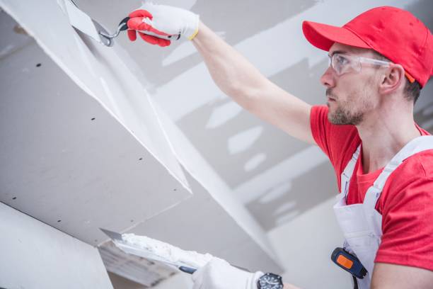 Best Remodeling Drywall  in USA